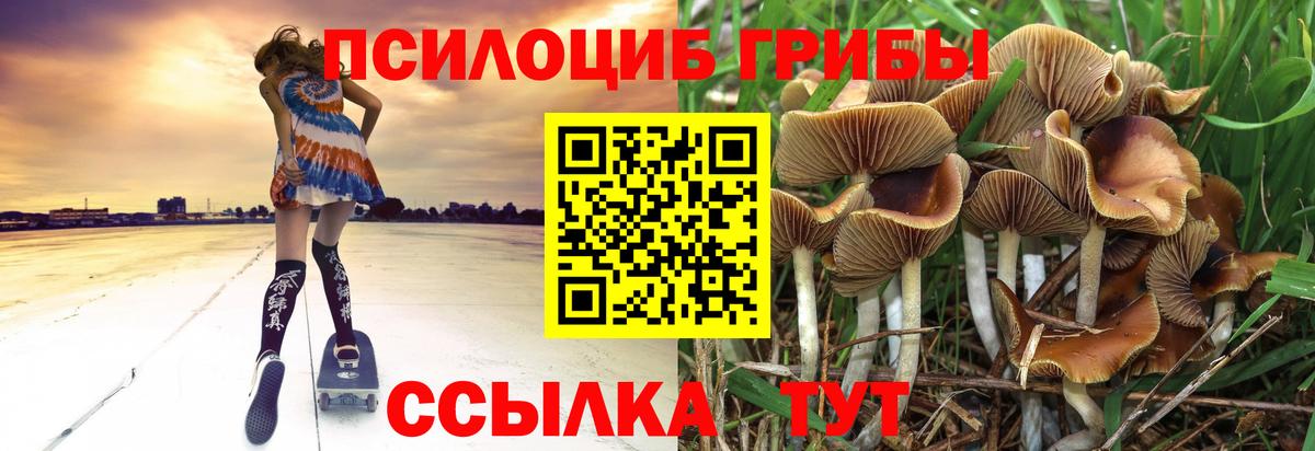 Галлюциногенные грибы MAGIC MUSHROOMS  Вход с VPN  Фурманов 