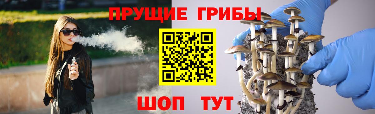 Псилоцибиновые грибы Psilocybe Фурманов