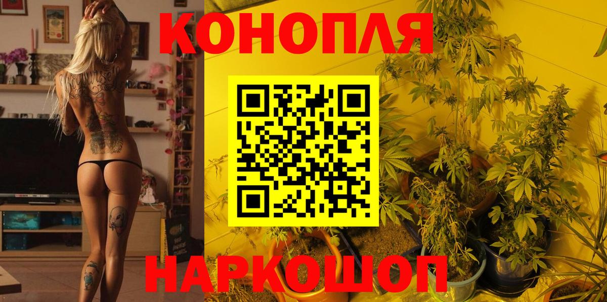 Бошки марихуана планчик Фурманов